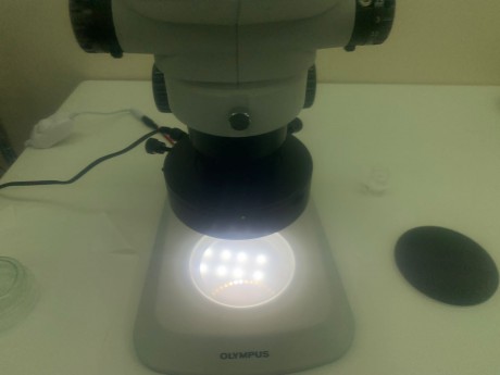 תאורת לד עבור מיקרוסקופ צבע אור לבן קר