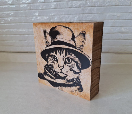 תמונות קוביות עץ חתול עם כובע במבחר דגמים 