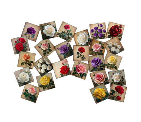 סט 25 מגנטים פרחי ורדים סגנון וינטג' - עם למינציה קשיחה